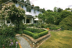 Long Lookout Gardens