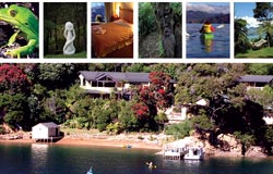 Lochmara Lodge Wildlife Recovery & Art Centre