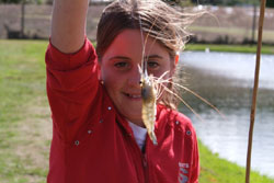 Huka Prawn Park