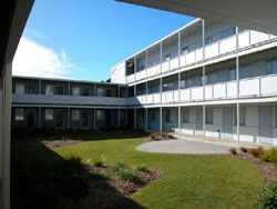 Taranaki 217 & Palmy 31
