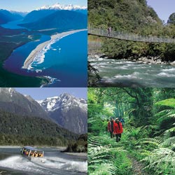 Hollyford Track