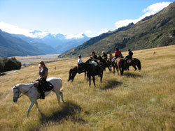 High Country Horses