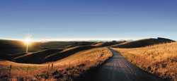 Central South Island Tourism