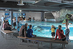 Kelly Tarlton's Antarctic Encounter and Underwater World
