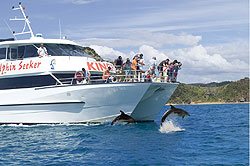 Kings Dolphin Cruises & Tours