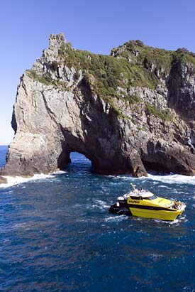 Explore NZ Dolphin Discoveries & Sail NZ