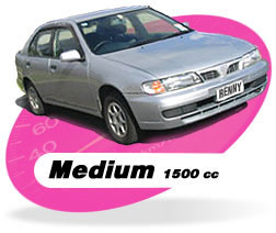 Renny Rent-A-Car