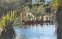 Katoro Waka Heritage Journeys