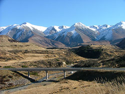 New Zealand Link Travel