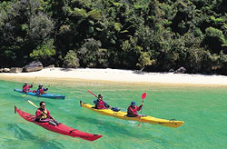 Wilsons Abel Tasman National Park
