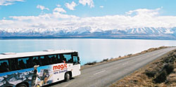 Magic Travellers Network