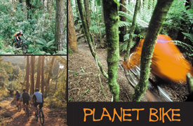 Planet Bike