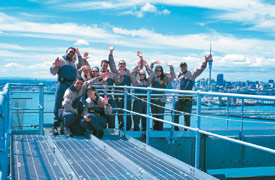 Auckland Bungy and Bridge Climb