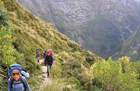 Milford, Routeburn and Kepler Independent Great Walks