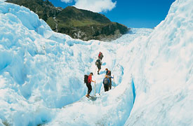 Fox Glacier Guiding