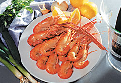 The Prawn Farm