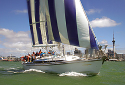 The Pride of Auckland