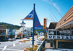 Americano Motor Inn