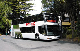 Gray Line New Zealand & Scenic Coachlines