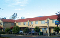 Arena Motel