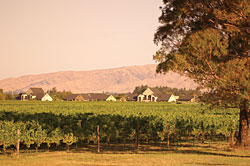 Marlborough Vintners Hotel
