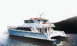 Greenshell Mussel Cruise