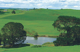 Hobbiton Movie Set & Farm Tours
