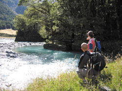 Great Kiwi Walks