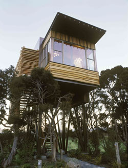 Hapuku Lodge and Tree Houses