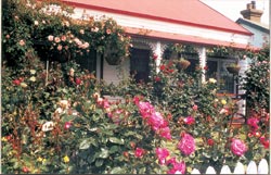 Christchurch Sightseeing Tours
