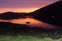 Furneaux Lodge