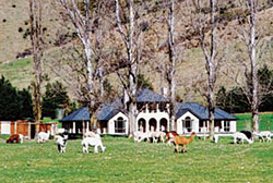 Valley Of Peace Alpaca Stud