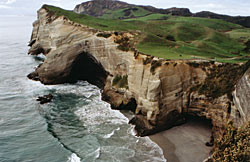 Walk-N-Tours