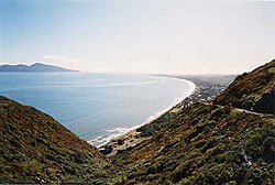 Wally Hammond's Wellington Scenic Tours