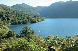 Punga Cove Resort