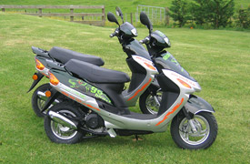 Go Birdz Rentals
