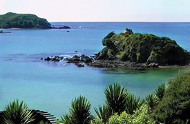 Cavalli Beach House Retreat