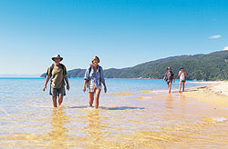 Wilsons Abel Tasman National Park