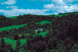 Woodland Park Lodge