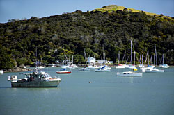 Mill Bay Haven