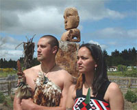 Wairakei Terraces