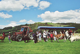Agrodome