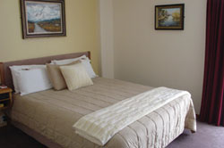 Hotel Willis