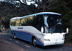 Johnston's Coachlines