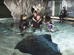 Kelly Tarlton's Antarctic Encounter and Underwater World