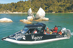 Wilsons Abel Tasman National Park
