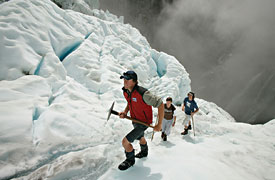Fox Glacier Guiding