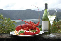 Pelorus Lodge