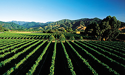 Scenic Circle Blenheim Country Hotel