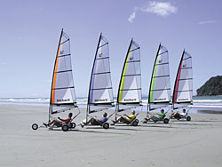 Tourism Bay of Plenty